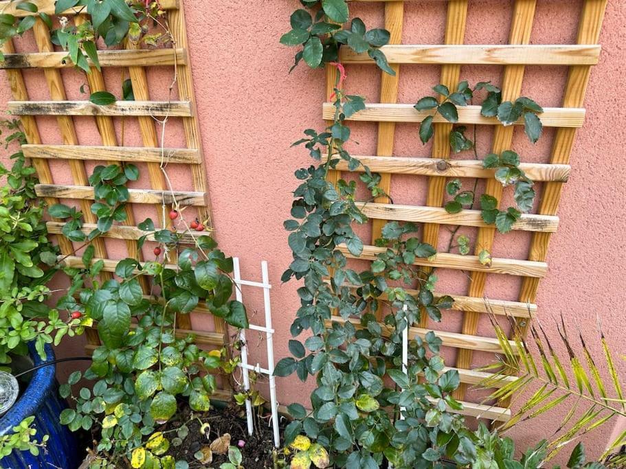 Moderne Mini Maison Lézignan-Corbières Exterior foto